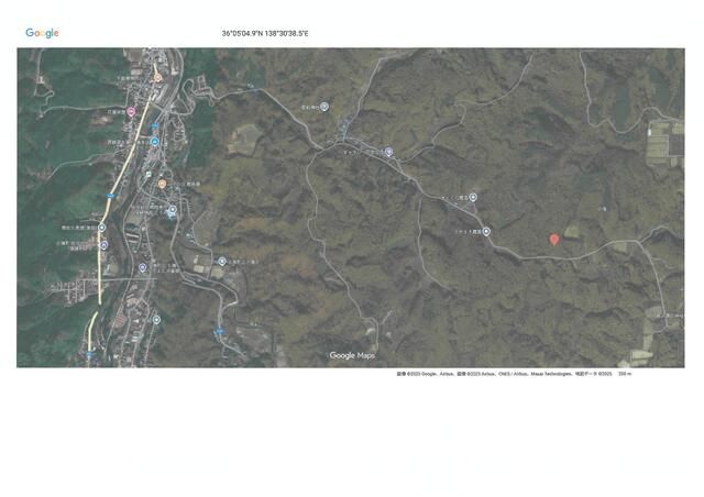 Villa Land for Sale in Koumi, Nagano - 662 sqm Forest Plot - Thumbnail 2
