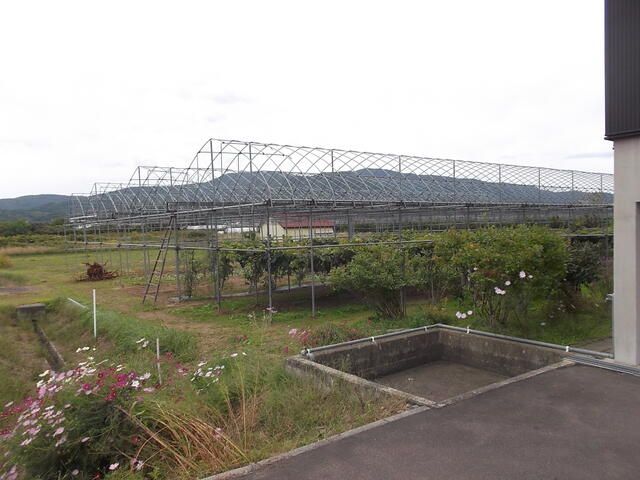 5LDK Detached House for Two Generations in Niki, Hokkaido - Thumbnail 4