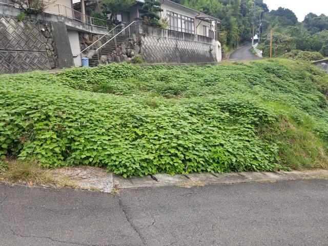 364 sqm Residential Land for Sale in Beppu, Oita - Thumbnail 2