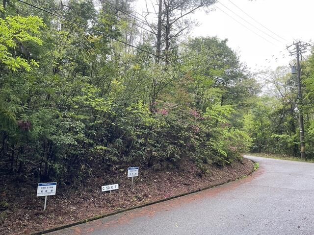 421 sqm Forest Land for Villa in Shika Town, Ishikawa - Thumbnail 3