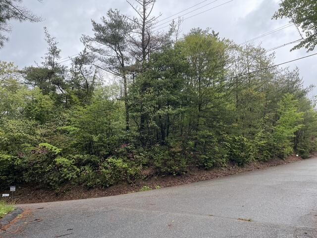 421 sqm Forest Land for Villa in Shika Town, Ishikawa - Thumbnail 2