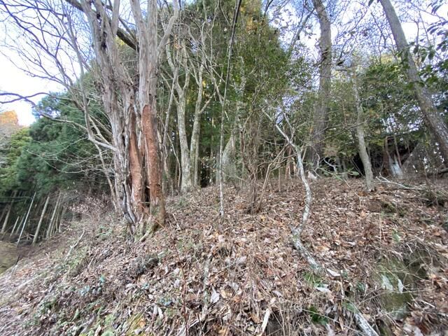 Villa Land in Aridagawa, Wakayama - Thumbnail 2