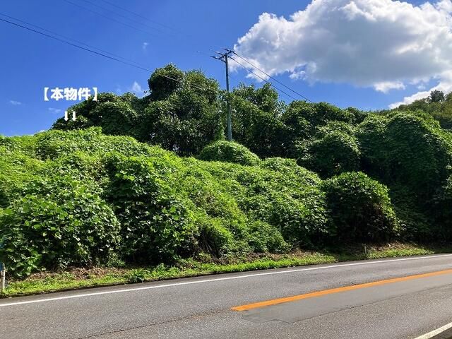 2,700 sqm Farmland for Sale in Ishikawa Town, Fukushima - Thumbnail 3