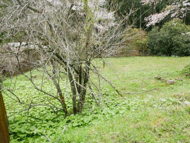 Residential Land for Sale in Kakitani-cho, Fukui City - Thumbnail 2