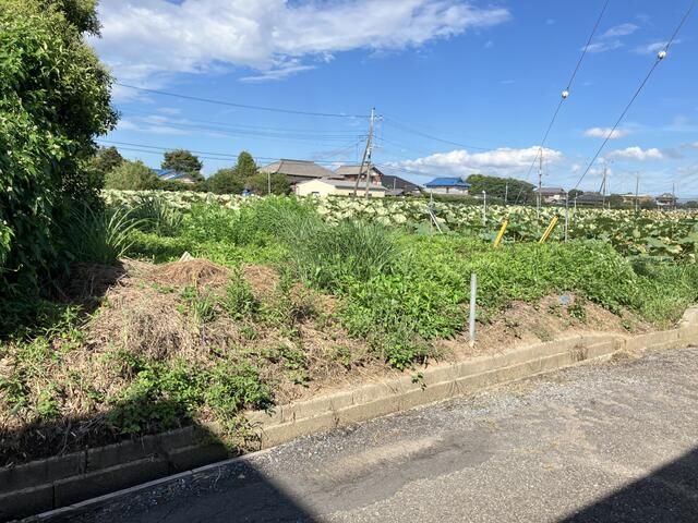 104sqm Flat Land for Vegetable Garden in Kawachi, Ibaraki - Thumbnail 3