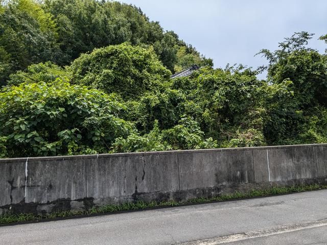 954.4 sqm Land for Sale in Etajima City, Hiroshima - Thumbnail 3