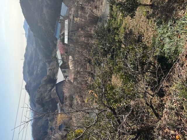 1920 Country House with Mandarin Orchard in Saitama's Higashichichibu - Thumbnail 2