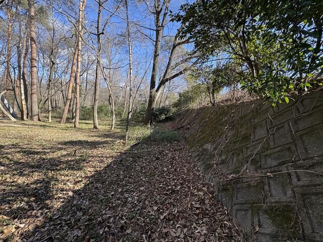 65 Tsubo Forest Land for Sale in Nasu Shiobara, Tochigi - Thumbnail 3