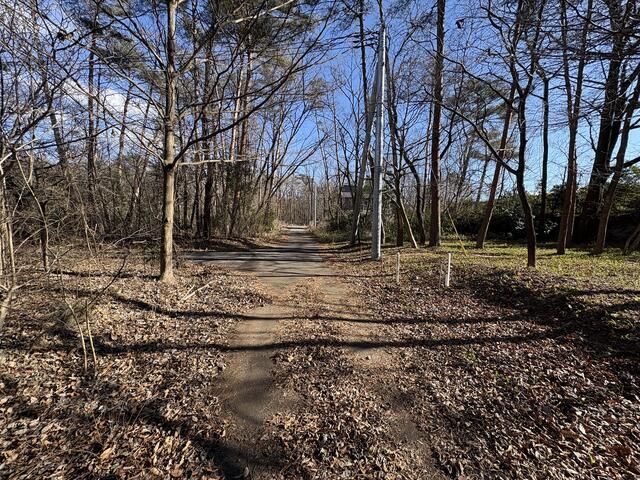65 Tsubo Forest Land for Sale in Nasu Shiobara, Tochigi - Thumbnail 2
