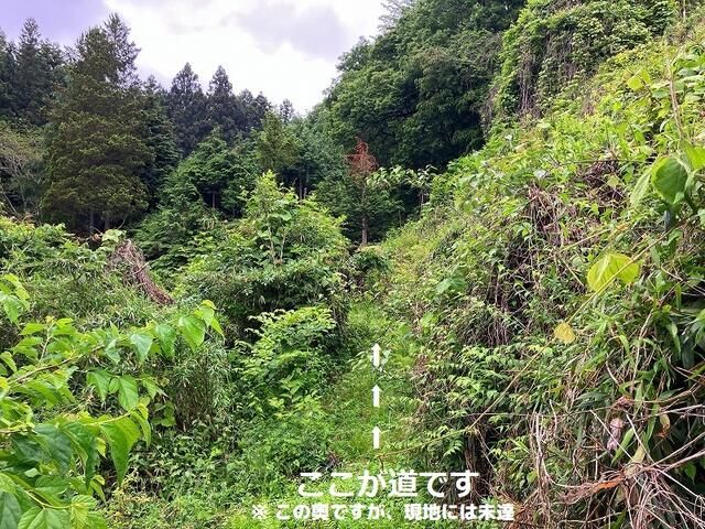 4,928 sqm Forest Land for Sale in Ishikawa Town, Fukushima - Thumbnail 4