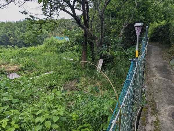 Agricultural Land for Sale in Shunan, Yamaguchi - 212 sqm Plot - Thumbnail 3