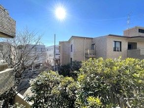 203m² Apartment for Sale in Nakameguro, Meguro, Tokyo - Thumbnail 2