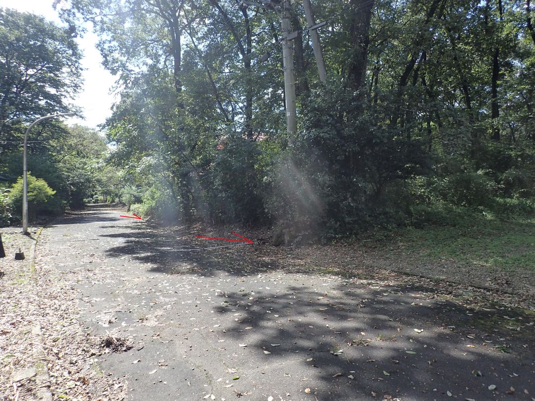 Vacant Forest Land for Sale in Nasu, Tochigi - Ideal for Vacation Home - Thumbnail 2