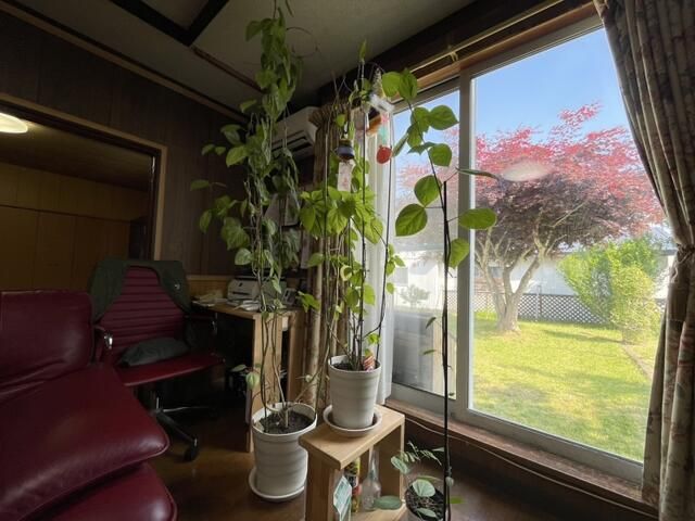 4LDK House on 330m² Land in Sapporo Seita Ward, Hokkaido - Thumbnail 4