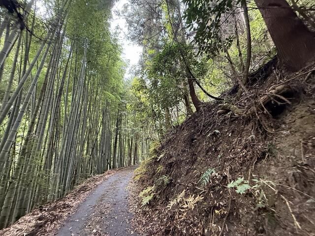 Forest Land for Sale in Matsuyama, Ehime - 5,692 sqm Plot - Thumbnail 2