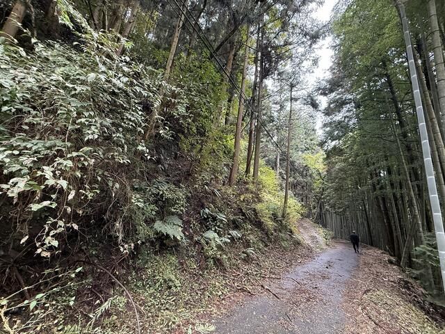 Forest Land for Sale in Matsuyama, Ehime - 5,692 sqm Plot - Thumbnail 3