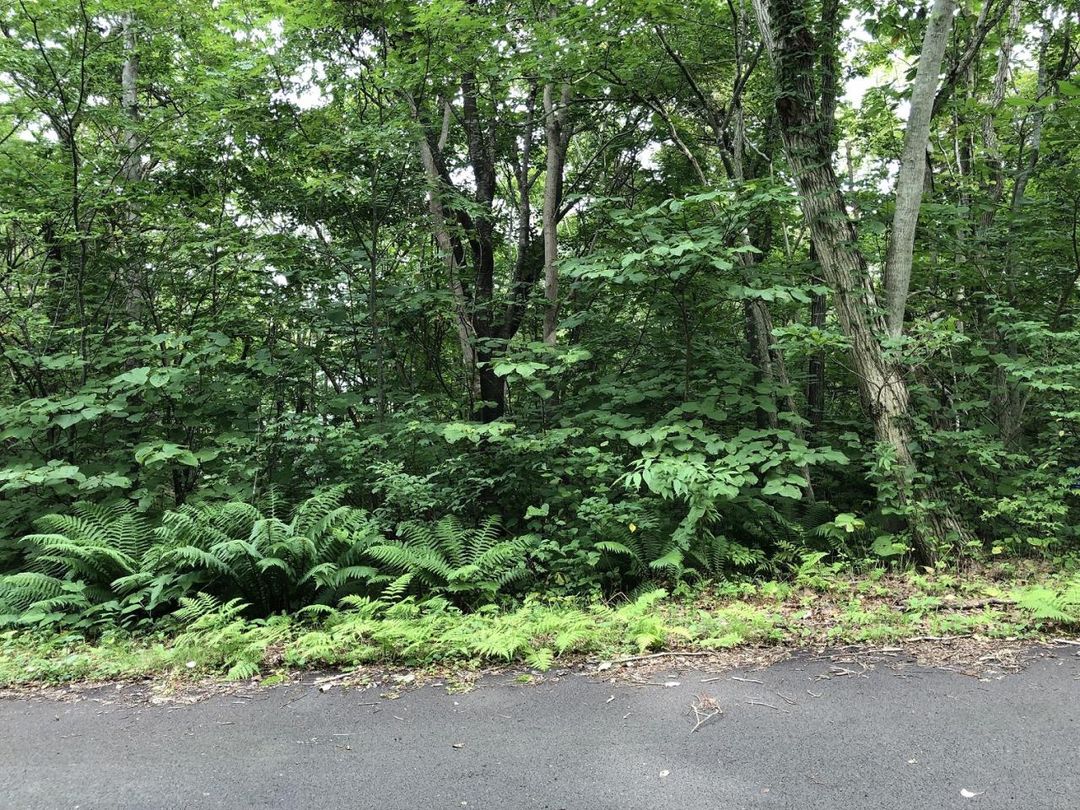Vacant Land for Sale in Shikabe, Hokkaido - 1,200 sqm - Thumbnail 2