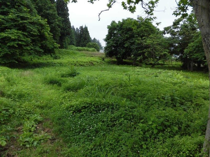 218 sqm Farmland for Sale in Yuzawa, Akita Prefecture - Thumbnail 3