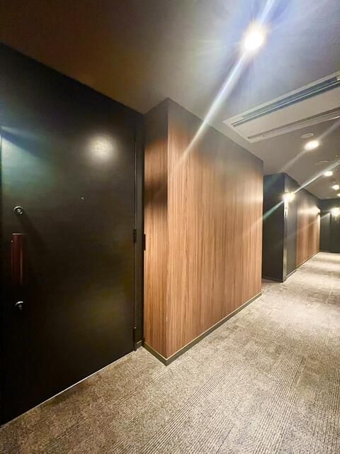 1LDK Designer Apartment with Mist Sauna in Taito-ku, Tokyo - Thumbnail 3