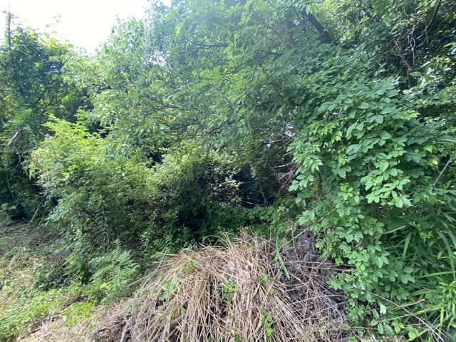 Land for Sale in Kinokawa, Wakayama - Ideal for Storage or Garden - Thumbnail 3