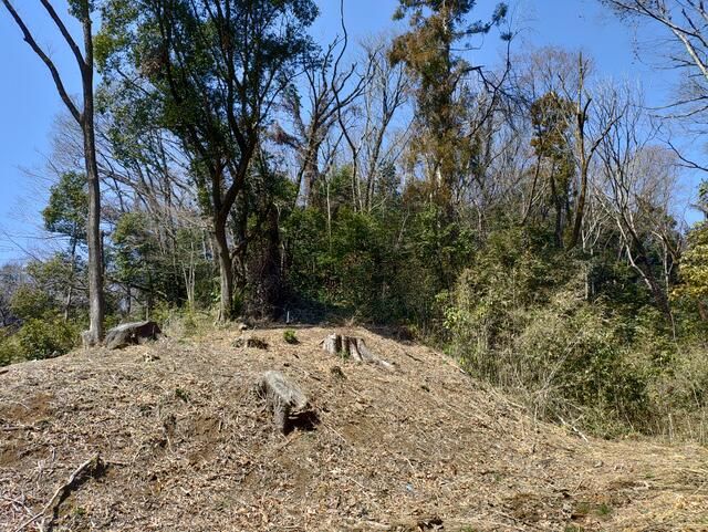26,143 sqm Hachioji Land for Development | Tokyo Business Plot - Thumbnail 3