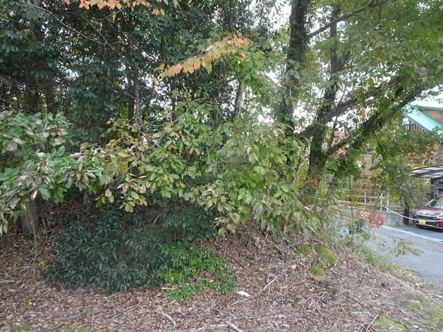 Residential Land for Sale in Kyotanba, Kyoto - 280 sqm Plot - Thumbnail 4