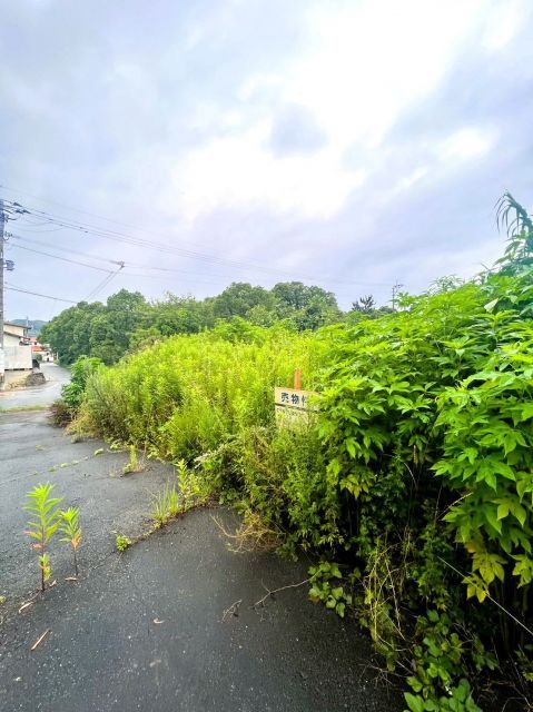 54 sqm Forest Land for Sale in Munakata, Fukuoka - Thumbnail 3
