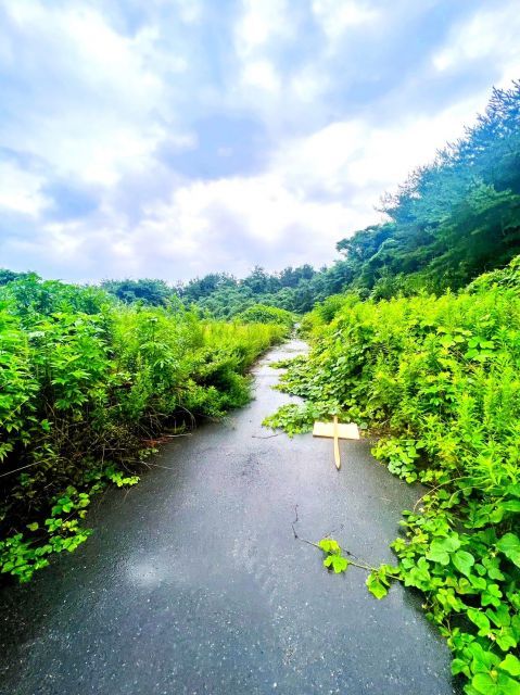 54 sqm Forest Land for Sale in Munakata, Fukuoka - Thumbnail 2