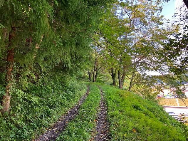 2,276 sqm Forest Land for Sale in Iizaka Town, Fukushima - Thumbnail 2