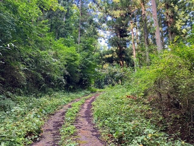 2,276 sqm Forest Land for Sale in Iizaka Town, Fukushima - Thumbnail 4