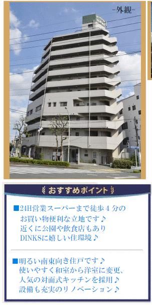 Renovated 2LDK Apartment with Skytree View in Adachi, Tokyo - Thumbnail 2