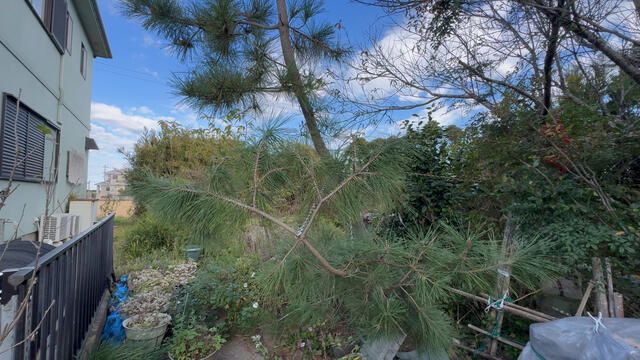 Residential Land for Sale in Kujukuri Town, Chiba Prefecture - Thumbnail 4