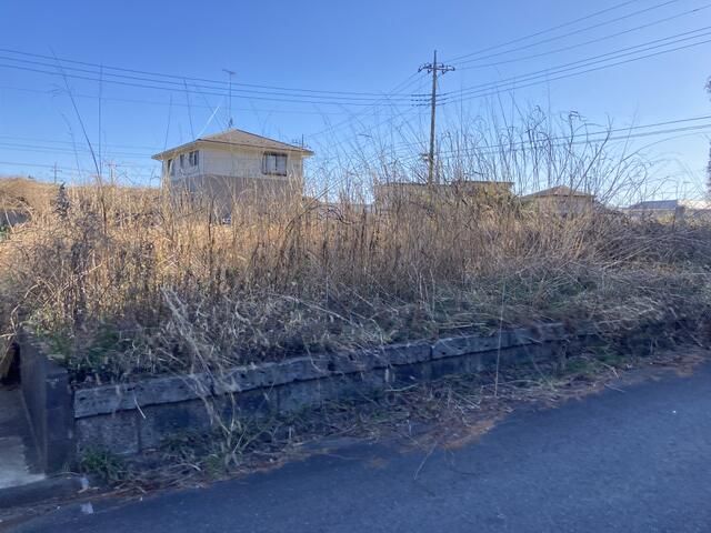 120 sqm Land for Sale in Mihomura, Ibaraki - Ideal for Gardening - Thumbnail 3