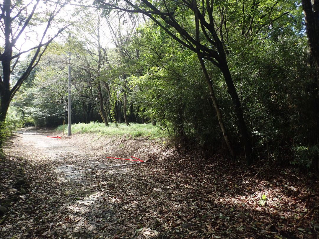 Vacant Forest Land for Sale in Nasu, Tochigi - Ideal for Vacation Home - Thumbnail 3