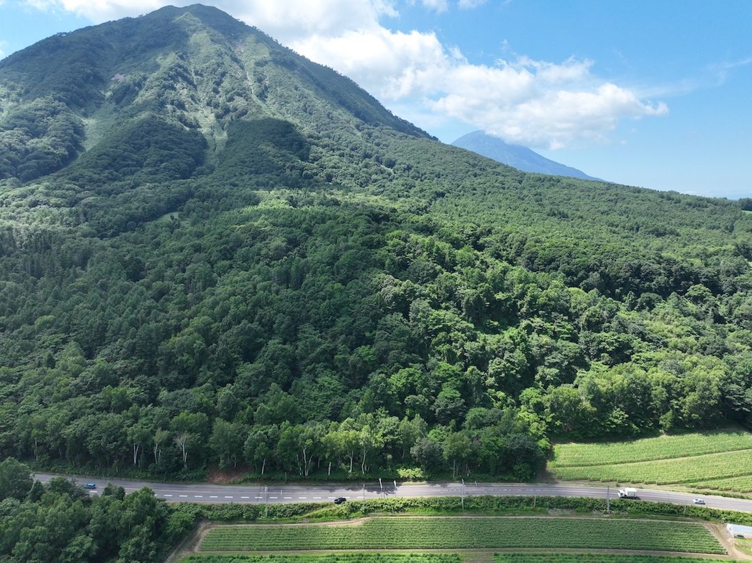 Rusutsu Border Development Land for Sale - 2,967sqm - Thumbnail 2