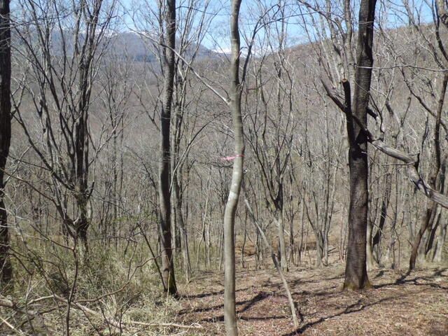 677 sqm Forest Land for Sale in Nishigo Village, Fukushima - Thumbnail 4