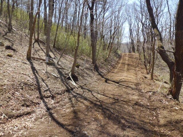 677 sqm Forest Land for Sale in Nishigo Village, Fukushima - Thumbnail 2