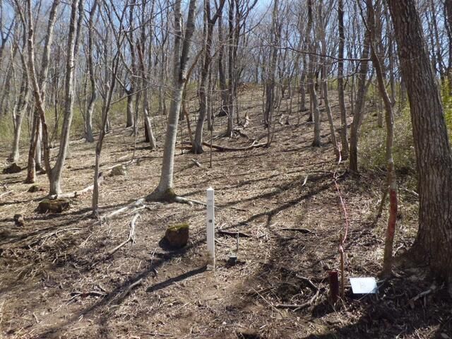 677 sqm Forest Land for Sale in Nishigo Village, Fukushima - Thumbnail 3