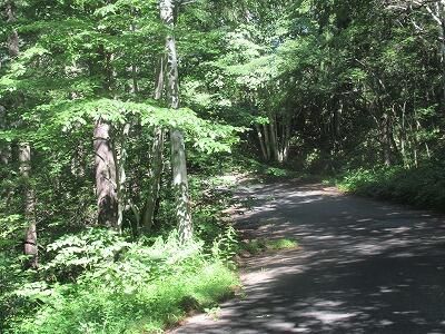 Vacant Land for Sale in Sugadaira Highlands, Nagano - Thumbnail 2