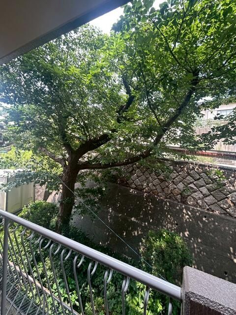 4LDK Apartment for Sale in Kitakyushu's Wakamatsu Ward - Thumbnail 3