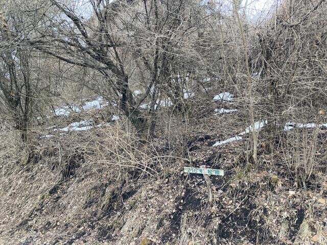 Vacant Villa Land in Yamanakako with Mt. Fuji Views - Thumbnail 3