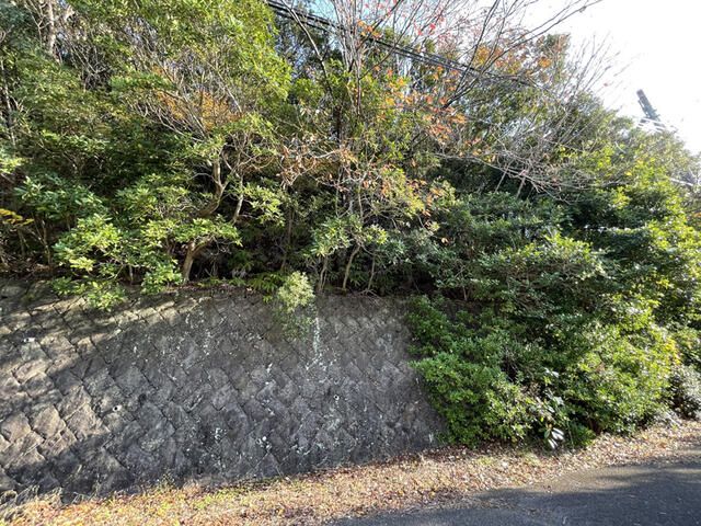 Affordable Residential Mountain Land in Wakayama - Thumbnail 4