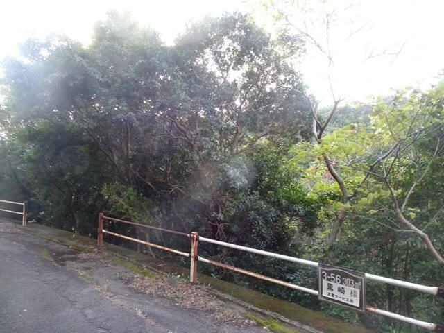 Affordable Residential Mountain Land in Wakayama - Thumbnail 2