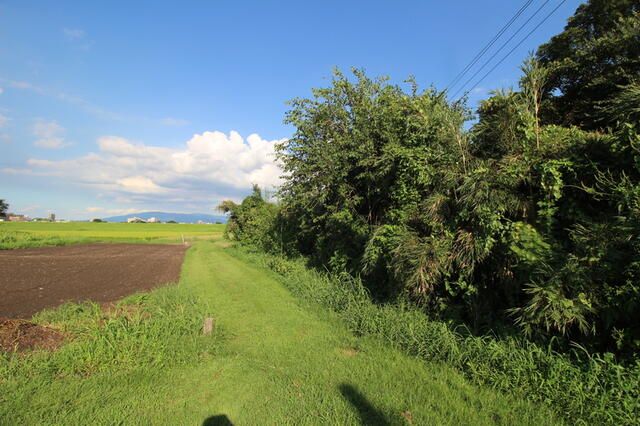 797.44 sqm Vacant Land for Sale in Miyakonojo, Miyazaki - Thumbnail 3