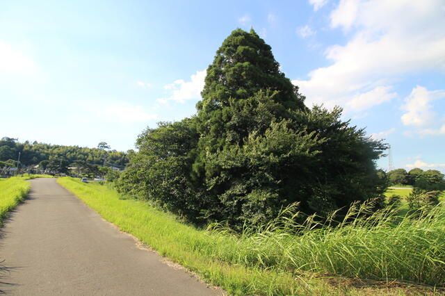 797.44 sqm Vacant Land for Sale in Miyakonojo, Miyazaki - Thumbnail 4