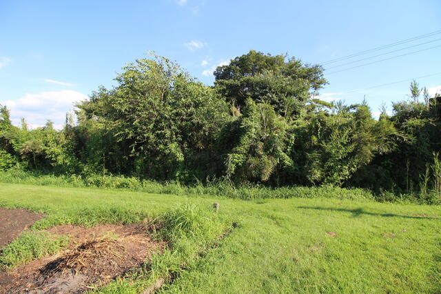 797.44 sqm Vacant Land for Sale in Miyakonojo, Miyazaki - Thumbnail 2