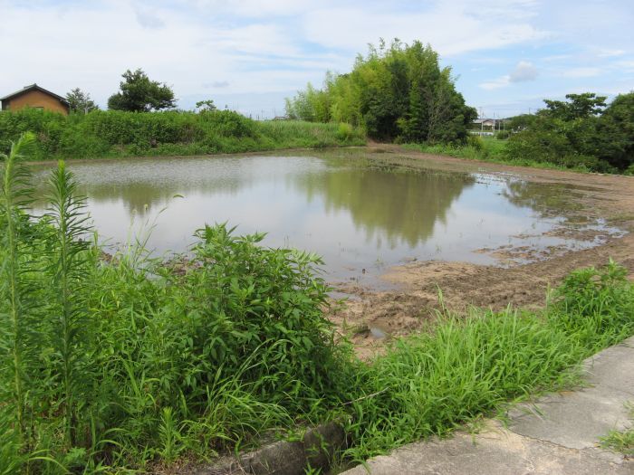 1,656 sqm Farmland for Sale in Miki, Kagawa Prefecture - Thumbnail 3