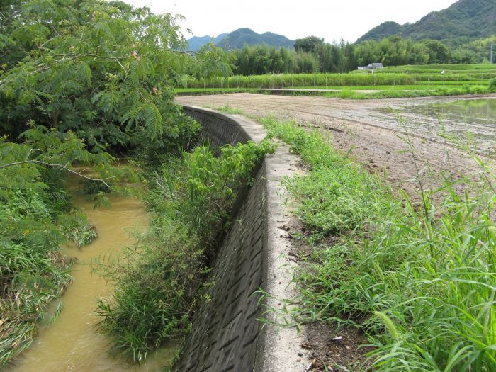 1,656 sqm Farmland for Sale in Miki, Kagawa Prefecture - Thumbnail 2