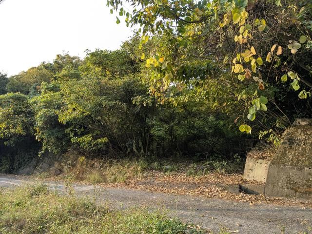 Agricultural Land for Sale in Etajima, Hiroshima - 1,742 sqm Plot - Thumbnail 4