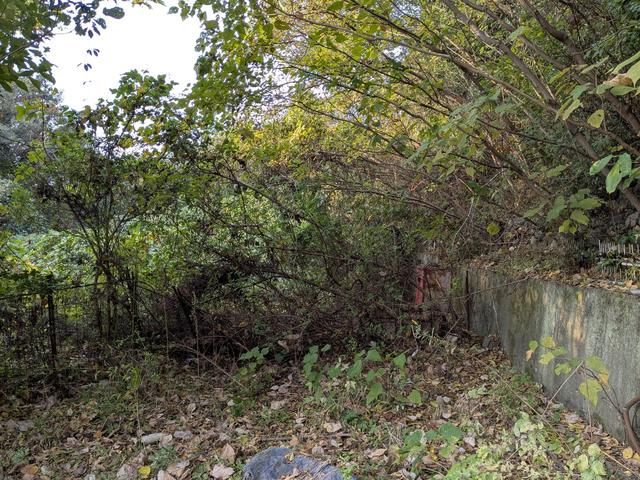 Agricultural Land for Sale in Etajima, Hiroshima - 1,742 sqm Plot - Thumbnail 2